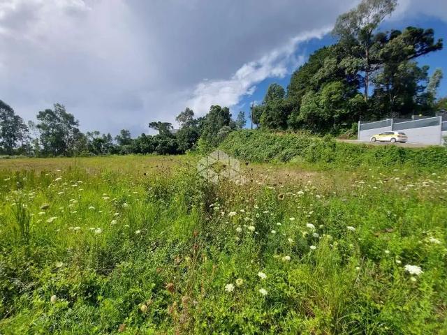 Terreno / Lote para Venda em Garibaldi/RS Peterlongo