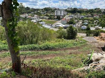 Terreno / Lote para Venda em Garibaldi/RS São Francisco