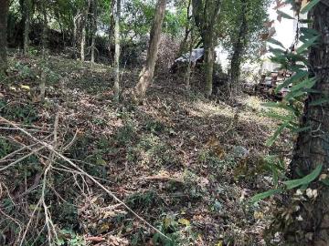Terreno / Lote para Venda em Garibaldi/RS São Francisco