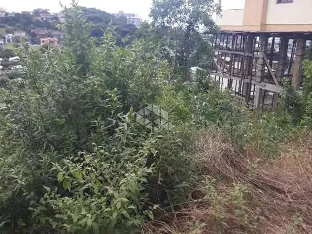 Terreno / Lote para Venda em Garibaldi/RS São Francisco