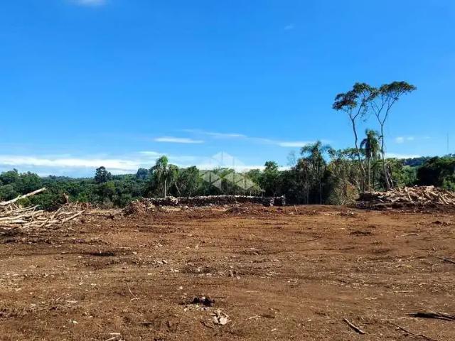 Terreno / Lote para Venda em Garibaldi/RS Santa Terezinha