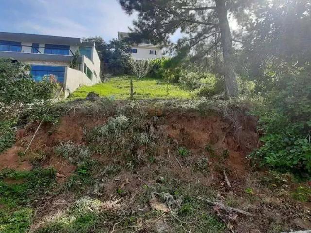 Terreno / Lote para Venda em Garibaldi/RS Santa Terezinha