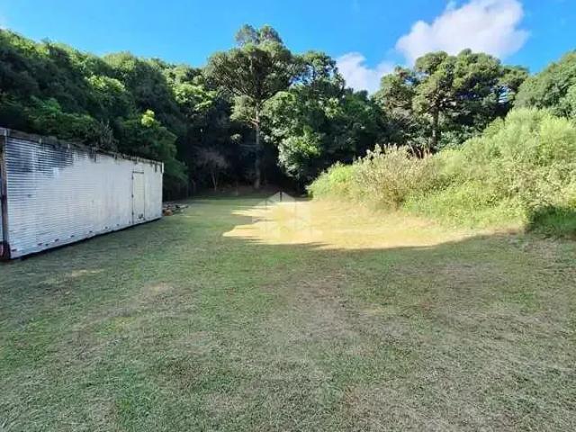 Terreno / Lote para Venda em Garibaldi/RS Santa Terezinha