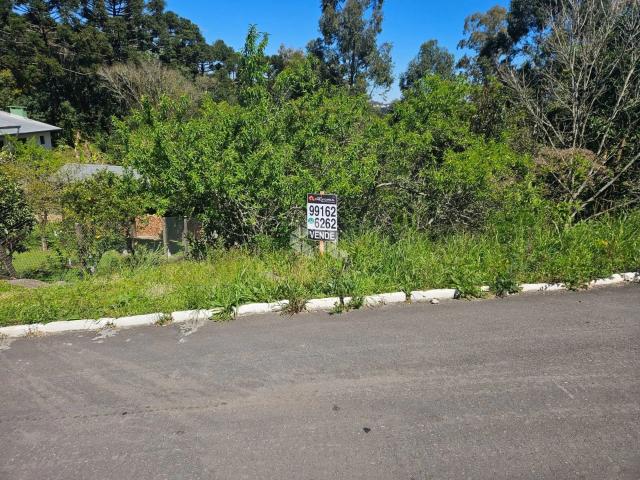 Terreno / Lote para Venda em Garibaldi/RS Santa Terezinha