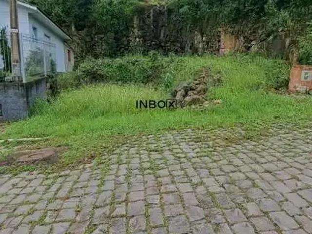 Terreno / Lote para Venda em Garibaldi/RS Santa Terezinha