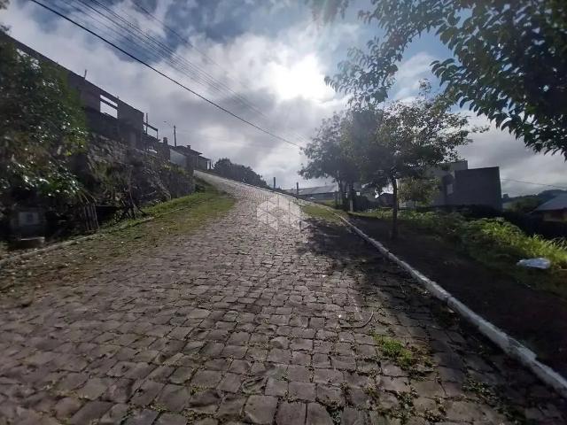 Terreno / Lote para Venda em Garibaldi/RS Santa Terezinha