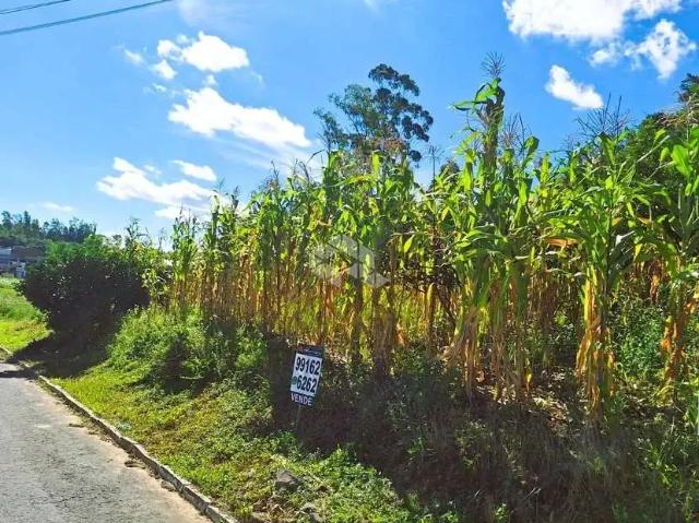 Terreno / Lote para Venda em Garibaldi/RS Santa Terezinha