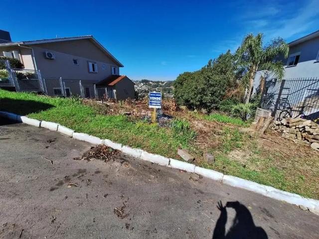 Terreno / Lote para Venda em Garibaldi/RS Santa Terezinha