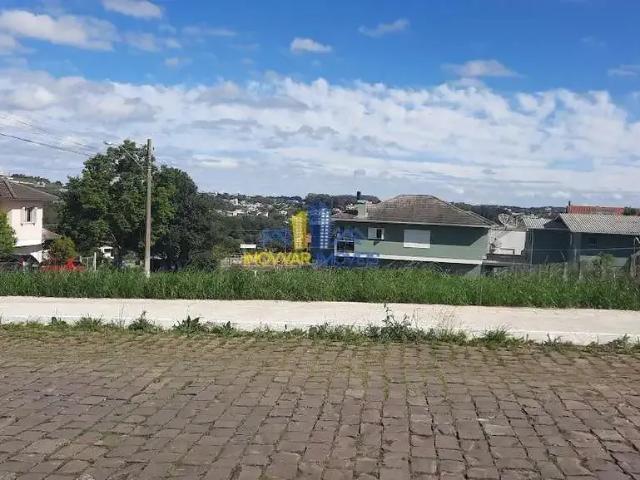 Terreno / Lote para Venda em Garibaldi/RS Santa Terezinha