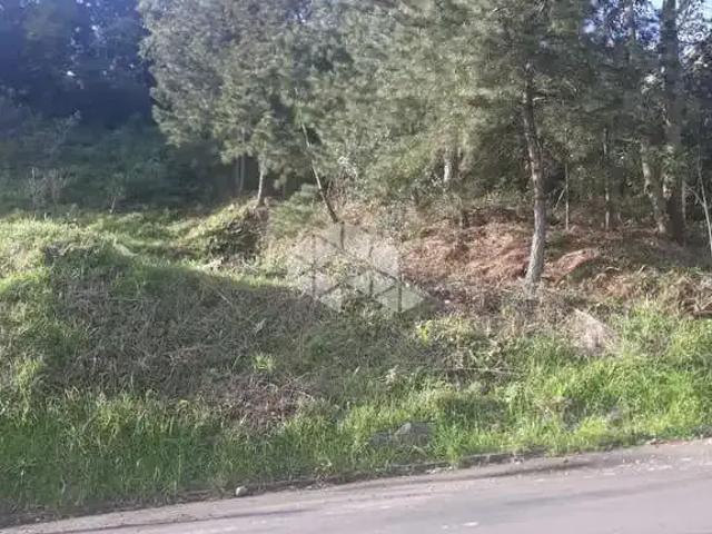 Terreno / Lote para Venda em Garibaldi/RS Santa Terezinha