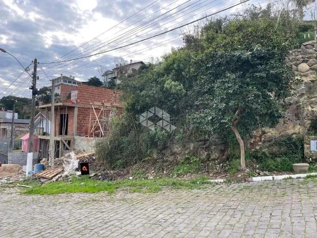 Terreno / Lote para Venda em Garibaldi/RS Santa Terezinha