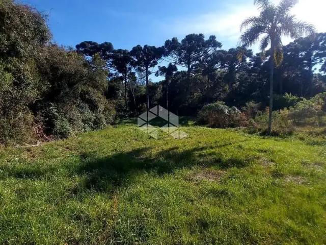 Terreno / Lote para Venda em Garibaldi/RS Santa Terezinha