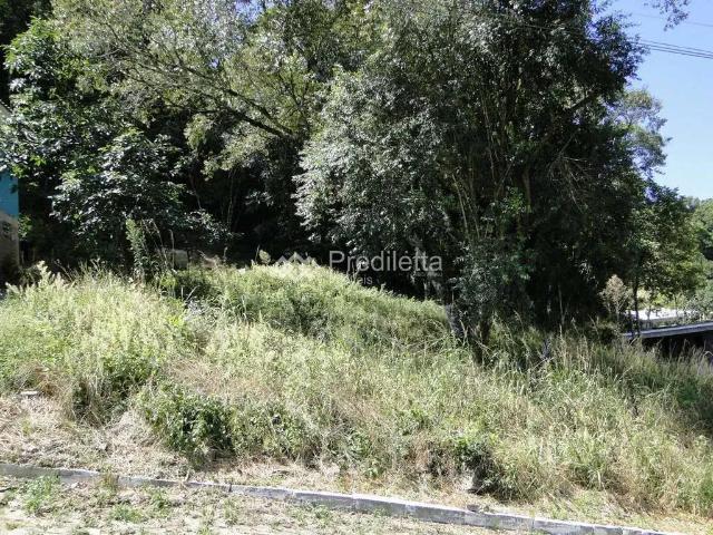 Terreno / Lote para Venda em Garibaldi/RS Santa Terezinha