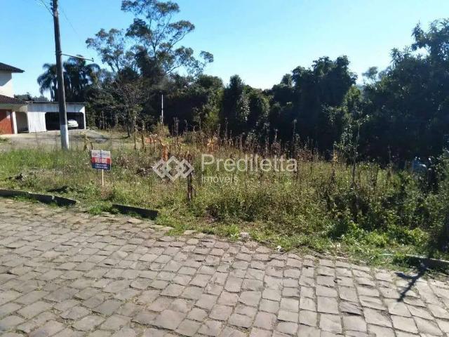 Terreno / Lote para Venda em Garibaldi/RS Santa Terezinha