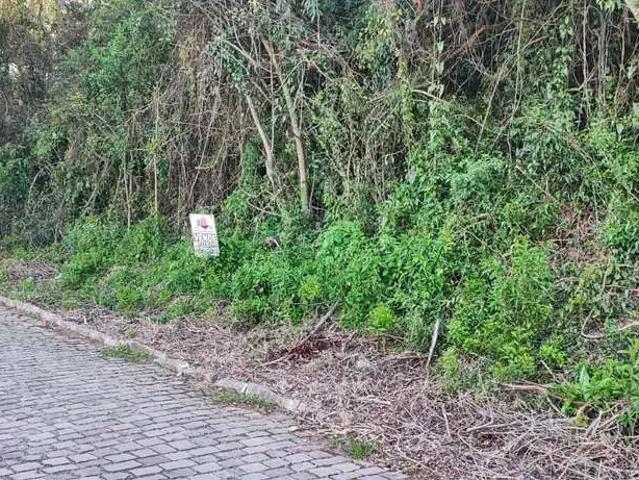 Terreno / Lote para Venda em Garibaldi/RS Sebben
