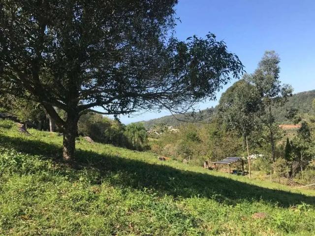 Terreno / Lote para Venda em Garopaba/SC Macacu