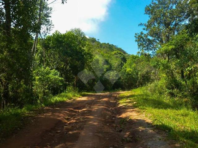 Terreno / Lote para Venda em Garopaba/SC Macacu