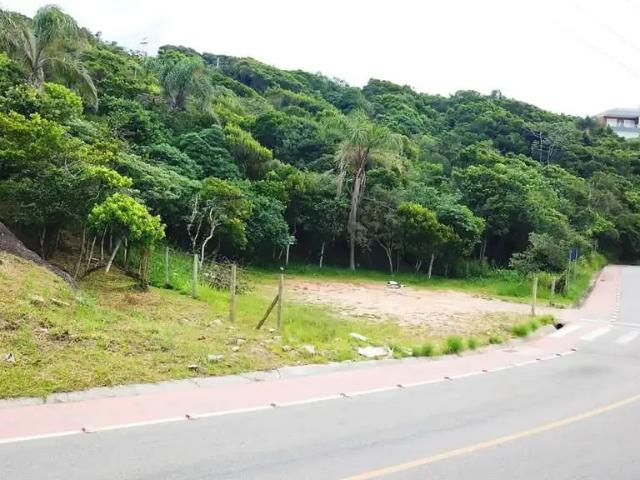 Terreno / Lote para Venda em Garopaba/SC Morrinhos