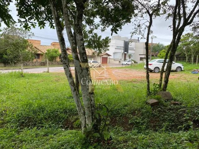 Terreno / Lote para Venda em Garopaba/SC Morrinhos