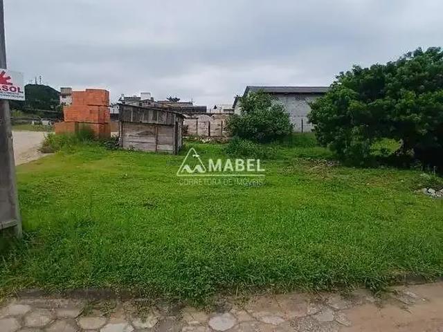 Terreno / Lote para Venda em Garopaba/SC Ambrósio
