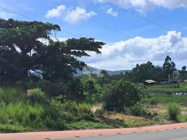 Terreno / Lote para Venda em Garopaba/SC Ambrósio