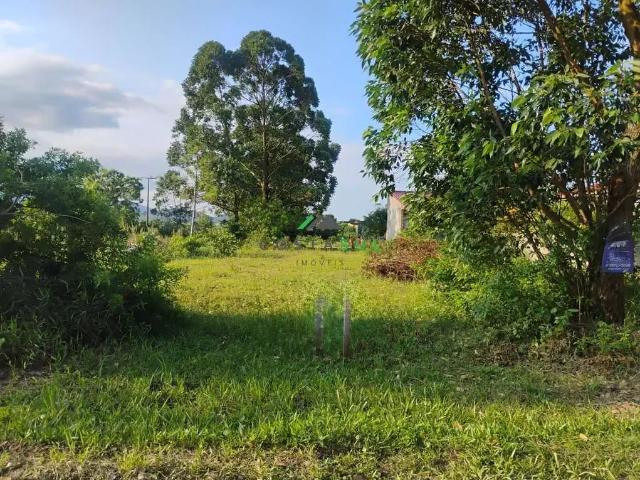Terreno / Lote para Venda em Garopaba/SC Areais da Palhocinha