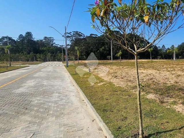 Terreno / Lote para Venda em Garopaba/SC Campo Duna