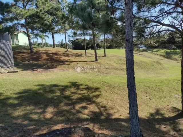 Terreno / Lote para Venda em Garopaba/SC Centro