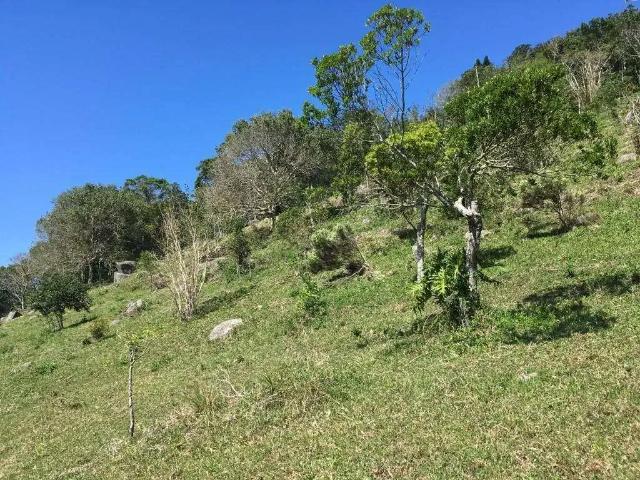 Terreno / Lote para Venda em Garopaba/SC Centro