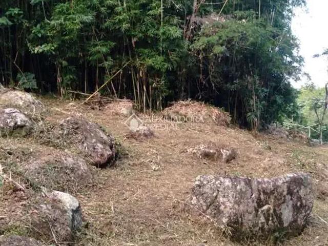 Terreno / Lote para Venda em Garopaba/SC Costa Do Macacu