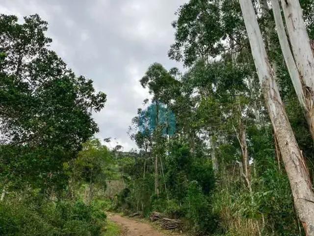 Terreno / Lote para Venda em Garopaba/SC Costa Do Macacu