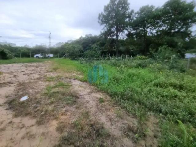 Terreno / Lote para Venda em Garopaba/SC Encantada