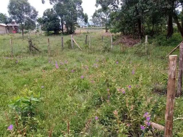 Terreno / Lote para Venda em Garopaba/SC Limpa