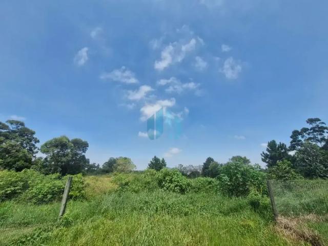 Terreno / Lote para Venda em Garopaba/SC Limpa