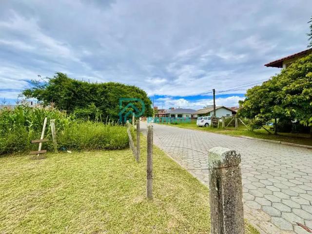 Terreno / Lote para Venda em Garopaba/SC Pedra Branca
