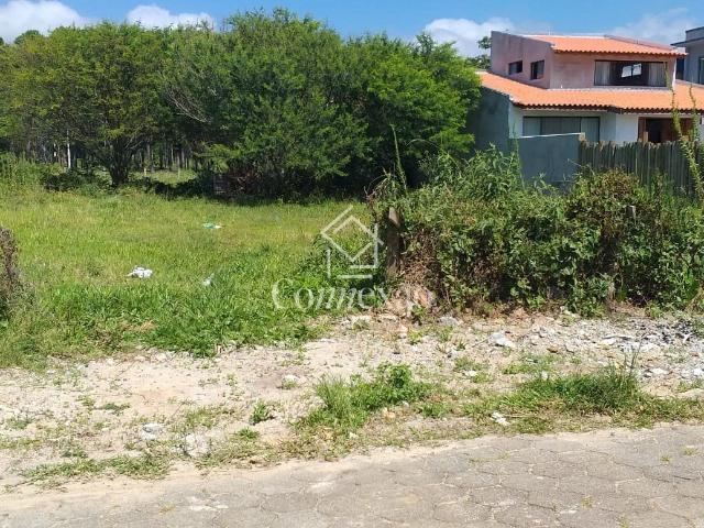 Terreno / Lote para Venda em Garopaba/SC Pinguirito 1 Quartos