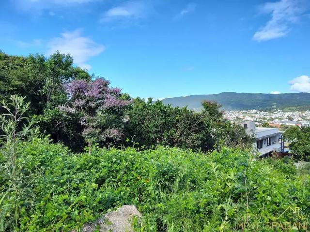 Terreno / Lote para Venda em Garopaba/SC Jardim Panorâmico