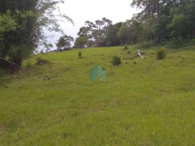 Terreno / Lote para Venda em Garopaba/SC Praia da Gamboa