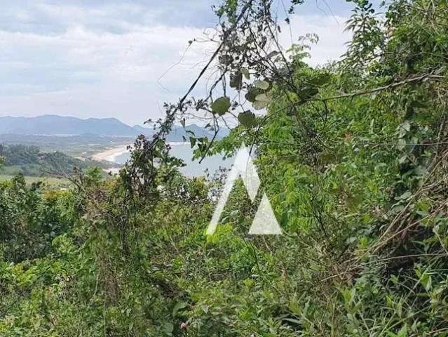 Terreno / Lote para Venda em Garopaba/SC Praia da Gamboa
