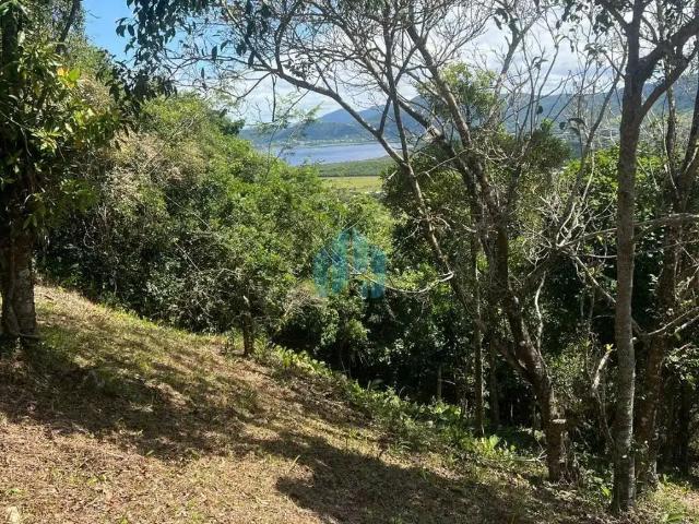 Terreno / Lote para Venda em Garopaba/SC Praia da Silveira