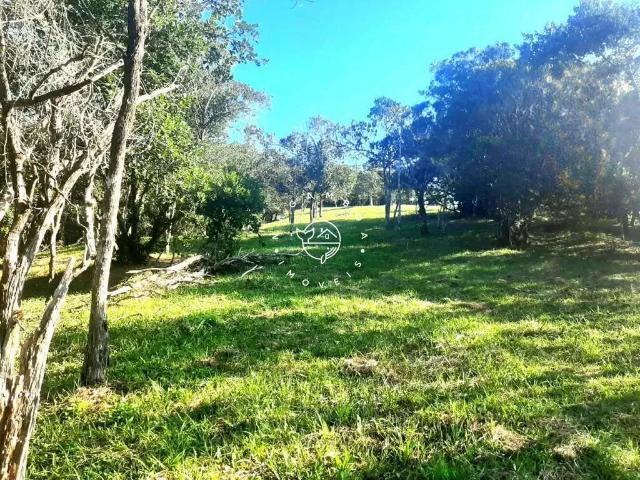 Terreno / Lote para Venda em Garopaba/SC Praia da Silveira