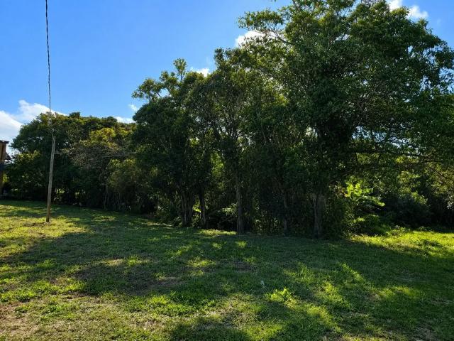 Terreno / Lote para Venda em Garopaba/SC Praia do Ouvidor