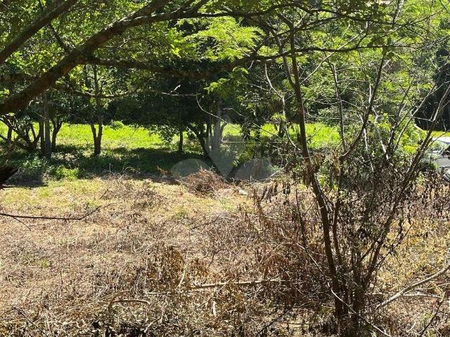 Terreno / Lote para Venda em Garopaba/SC Vigia