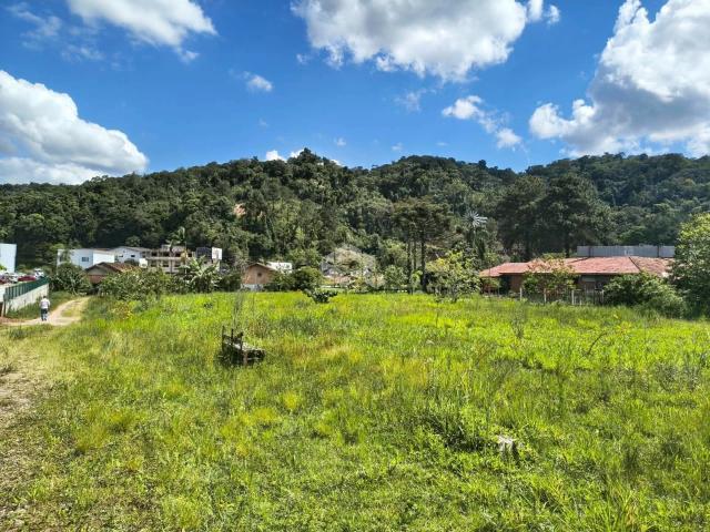 Terreno / Lote para Venda em Gaspar/SC Bela Vista