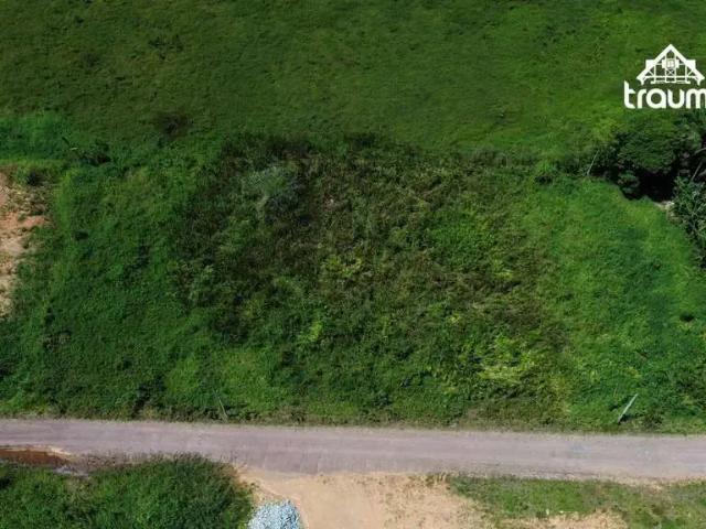 Terreno / Lote para Venda em Gaspar/SC Belchior Alto
