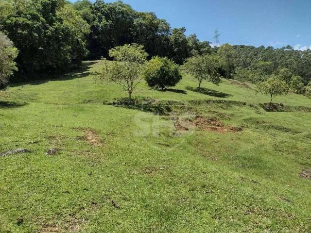 Terreno / Lote para Venda em Gaspar/SC Belchior Baixo