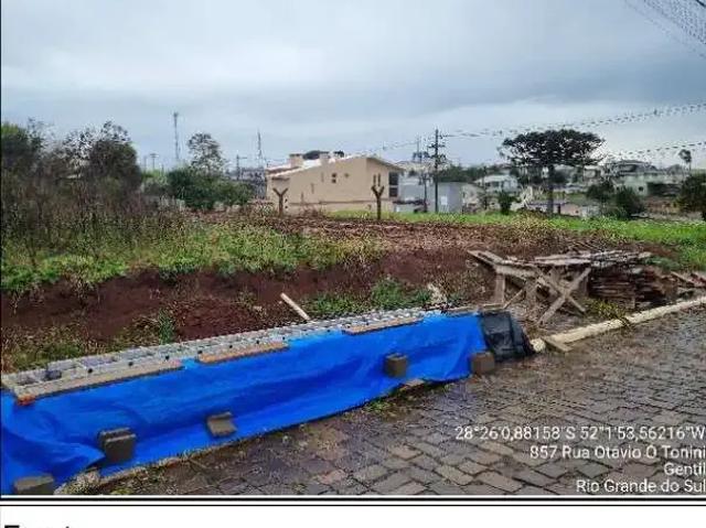Terreno / Lote para Venda em Gentil/RS Centro