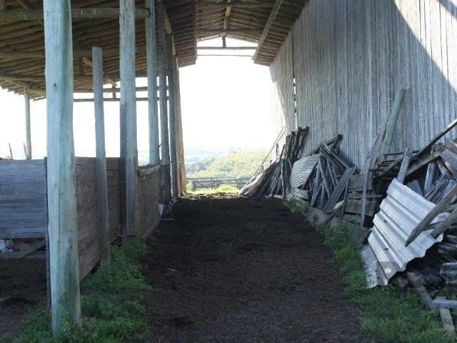 Terreno / Lote para Venda em General Câmara/RS Padre Elly