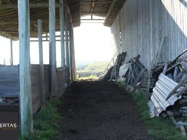 Terreno / Lote para Venda em General Câmara/RS Padre Elly
