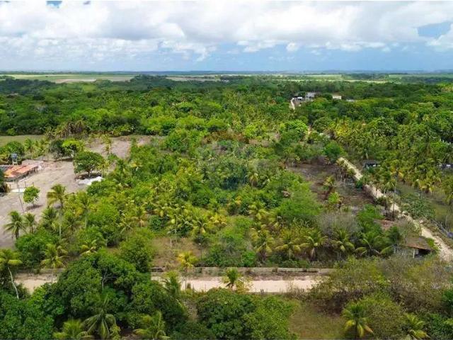 Terreno / Lote para Venda em Goiana/PE Tejucupapo